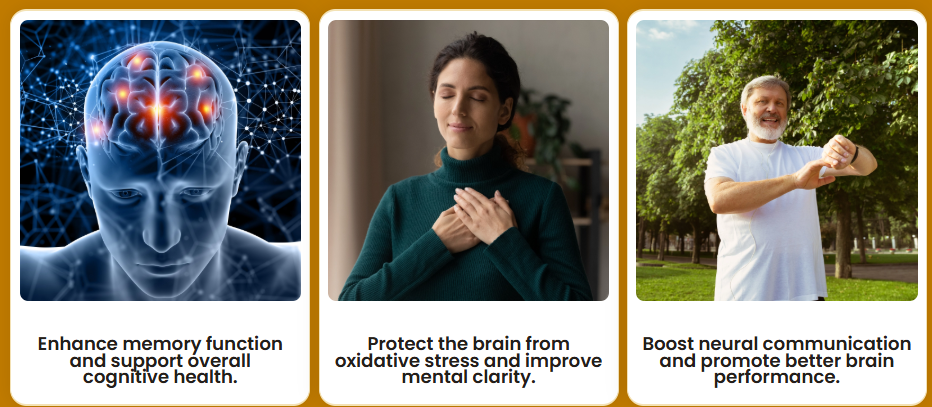MemoHoney benefits overview - memory, focus, mental clarity and brain health